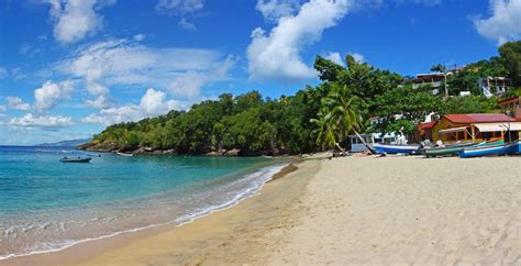 The Best Beaches in Martinique