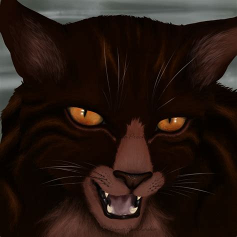 tigerstar - WARRIOR CATS Photo (27207632) - Fanpop