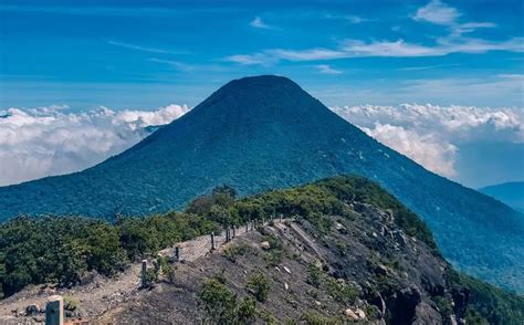 Gunung Gede Pangrango Ditutup Enam Hari hingga HUT Ke-78 Kemerdekaan RI - Radar Jogja