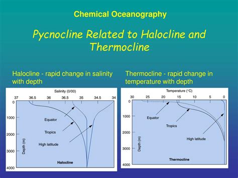 PPT - SCM 330 Ocean Discovery through Technology PowerPoint Presentation - ID:4153774