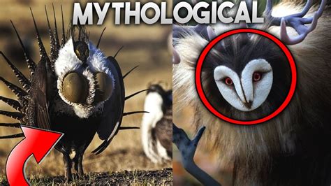 10 mythological animals that you WON’T BELIEVE EXIST!! - YouTube