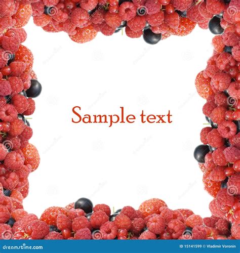 Garden Ripe Berries Border and Frame Stock Image - Image of garden, berry: 15141599