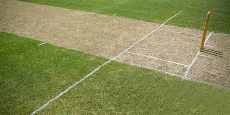 Cricket Pitch Markings: Guidelines on the Pitch | Mostplay