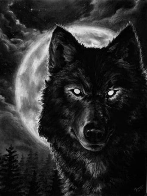 Black Wolf Wolf Photos, Wolf Pictures, Wolf Tattoo Sleeve, Sleeve Tattoos, Tattoo Wolf, Chest ...