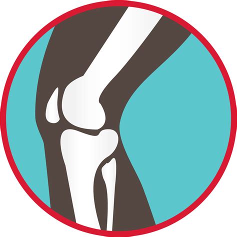 Download Bones Of The Knee Joint Graphic - Howth Clipart (#910899 ...