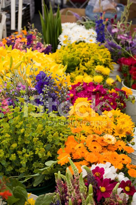 Outdoor Fresh Flower Market Stock Photo | Royalty-Free | FreeImages