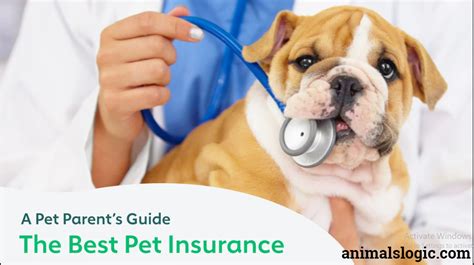 Best Top Level Dog Insurance in US Animals Logic