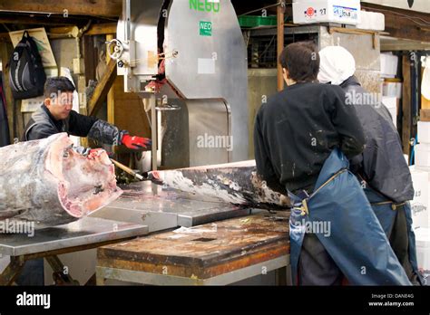 Cutting frozen tuna with a band saw, Tsukiji fish market, Chūō, Tokyo ...