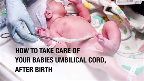 When Does Umbilical Cord Form