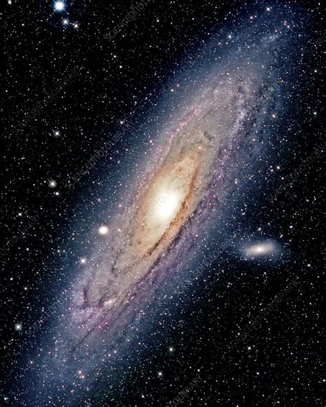 The Constellation Andromeda - Stock Image - R550/0460 - Science Photo Library