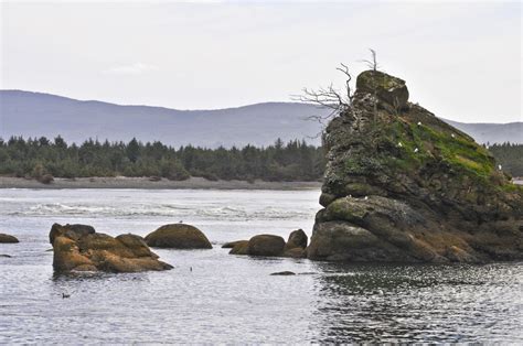 Oregon Coast Rocks 2 Free Stock Photo - Public Domain Pictures