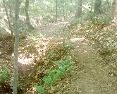 Another Runner: Trail Review: Falls Lake Trail - Section 1