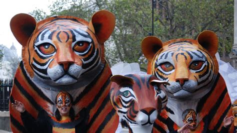 Free Images : carnival, mammal, parade, mask, tiger, carving, costume, cat face, big cats ...