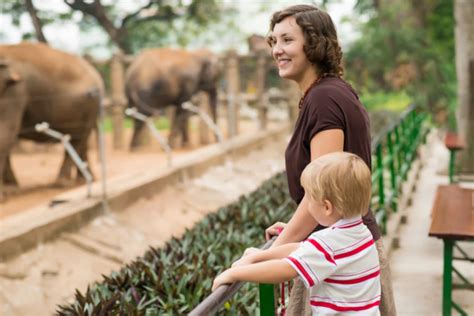 El Paso Zoo To Host May The Fourth Be With Zoo Event