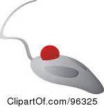 Ball mouse clipart 20 free Cliparts | Download images on Clipground 2024