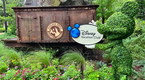 2024 Disney Vacation Club Points Charts - DVC Fan