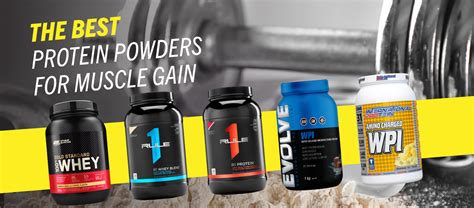 The Best Protein Powders for Muscle Gain in Australia – Fit Nutrition ...