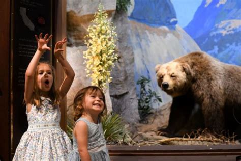 Santa Barbara Museum of Natural History - Visit Santa Barbara