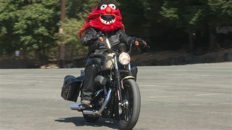 CHEK Upside: Crofton man's Muppet motorcycle helmets bringing smiles