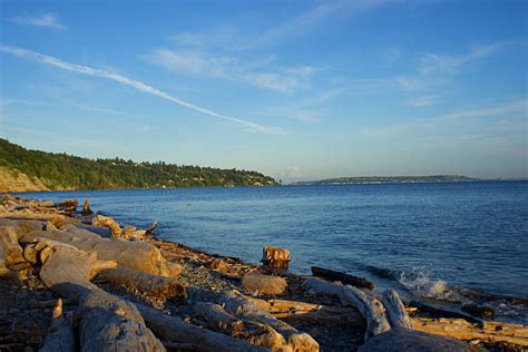 Best Discovery Park Seattle Stock Photos, Pictures & Royalty-Free Images - iStock