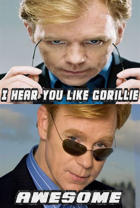 Very very cool Horatio Caine from CSI miami very cool. Our funny take ...