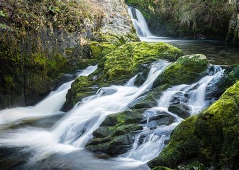 Image libre: nature, eau, paysage, rivière, ruisseau, cascade, bois, mousse