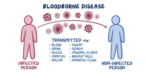 Bloodborne diseases - Osmosis Video Library