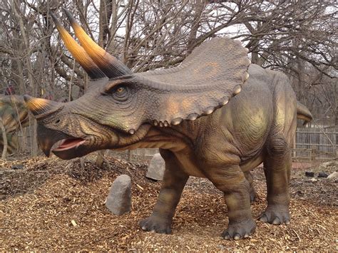 Dinosaur - Triceratops Info - Photo 2