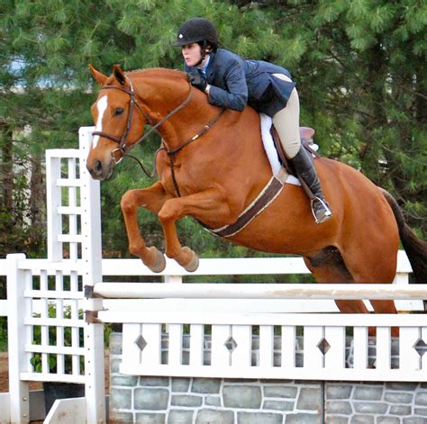 Rolling Acres Farm: Hunter/Jumper Horse Boarding, Sales and Training in ...