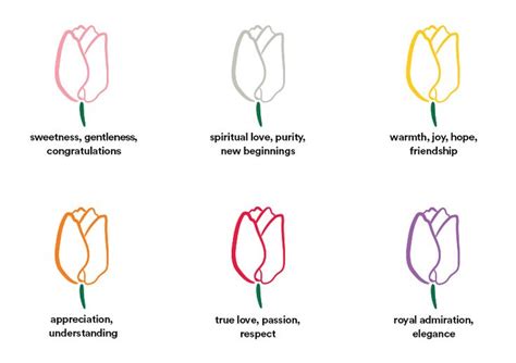 Tips and Ideas | Whole Foods Market | Tulip colors, Tulip tattoo, Tulips meaning