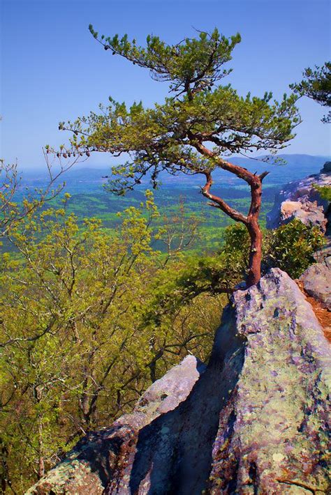 17 Best images about CHEAHA ST PARK AL on Pinterest | Hiking trails, Devil and Cabin