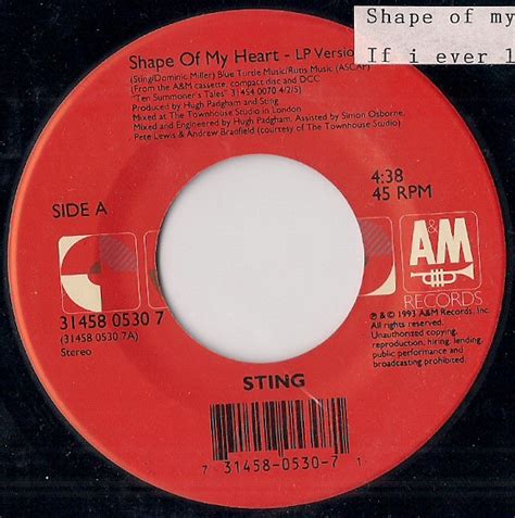 Sting – Shape Of My Heart (1993, Specialty Pressing, Vinyl) - Discogs