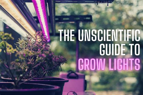 The Unscientific Guide to Grow Lights: How They Work & Why You Need One - The Herb Exchange