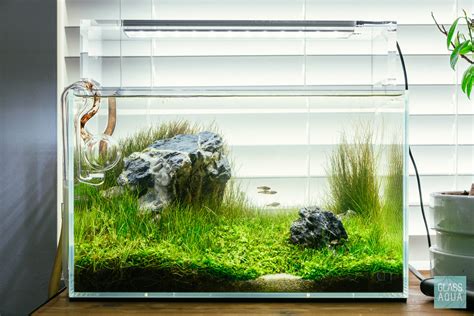 Planted Nano Aquarium Tank | Click here for more planted aqu… | Flickr