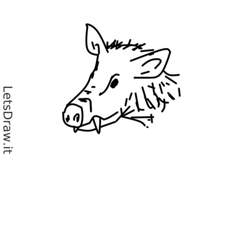 How to draw hog / r3bxgwcr8.png / LetsDrawIt