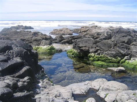 somewhat of a tide pool along the Oregon coast | Flickr - Photo Sharing!