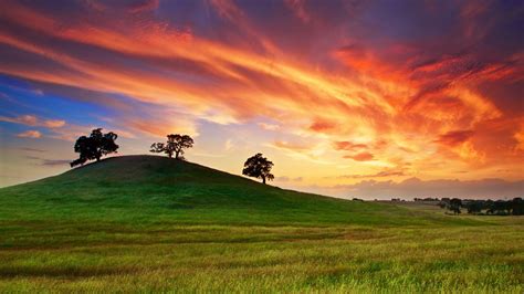 USA California spring sunset grass hill trees red sky - High Definition Wallpapers - HD wallpapers