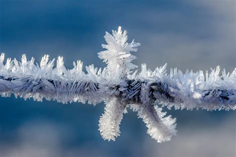 Close-up Photography of Snowflake · Free Stock Photo