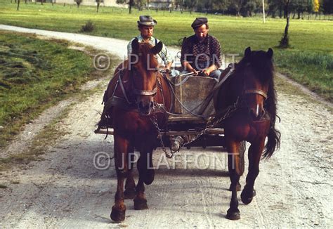 POLAND AGRICULTURE 31 LAF182362.JPG | Jean Pierre Laffont