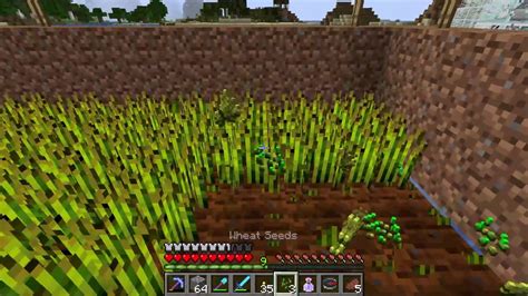 Minecraft Wheat Seeds