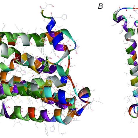 Spatial structures of the muscarinic acetylcholine M2 type receptor ...