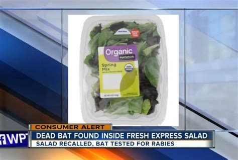 Watch: Fresh Express recalls salads after dead bat discovery - UPI.com