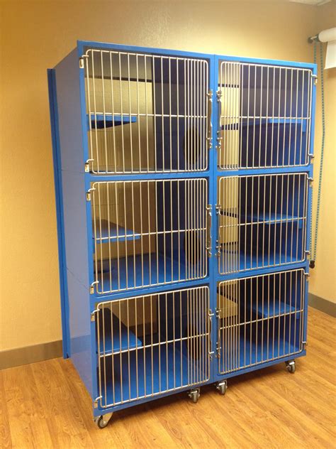 Commercial Cat Condos, Cages, & Kennels for Animal Shelters | Direct Animal | Cat kennel, Cat ...