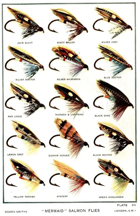 Pin by Erwin Nielsen on Fluebinding | Fly fishing art, Fly fishing flies pattern, Fly fishing books