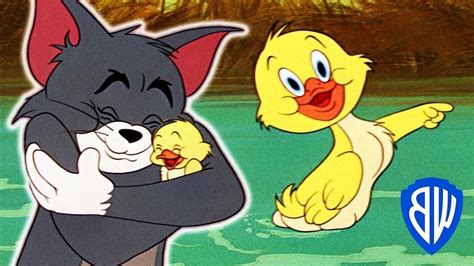 Tom & Jerry | Best of Little Quacker | Classic Cartoon Compilation | WB ...