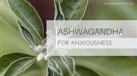 Ashwagandha, Anxiety & Sleep