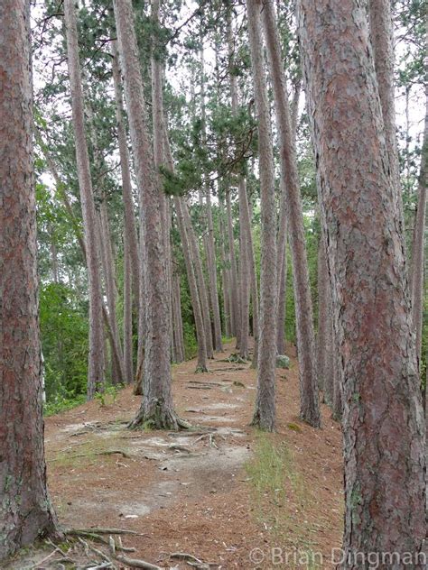 Minnesota’s Scenic State Park - Minnesota Trails