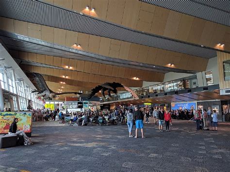 Wellington Airport launches lanyard initiative for hidden disabilities