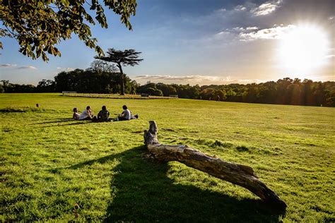 Cassiobury park, the place where I'm going when I want to dream