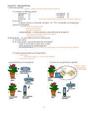 lec21.pdf - Lecture 21 Aberrant Ploidy I. Aberrant euploidy euploidy = genome composed of whole ...